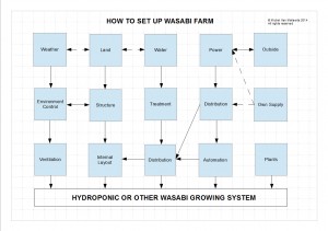 How to Set up Wasabi Farm