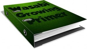 Wasabi Growers Primer