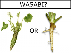 Comparison picture of Genuine Wasabi and Fake Wasabi (Horseradish).
