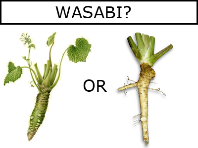 Comparison picture of Genuine Wasabi and Fake Wasabi (Horseradish).