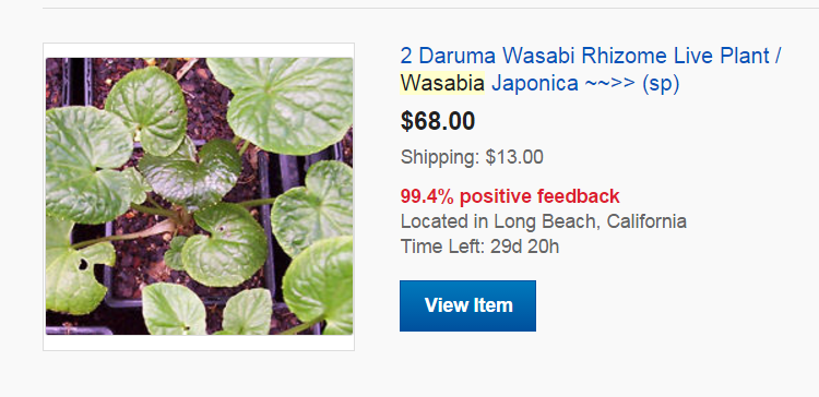 Buying Wasabi Plants - 2 plants