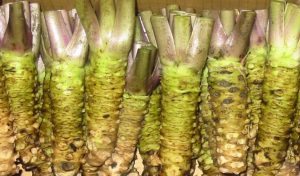 Wasabia japonica is Gluten Fee