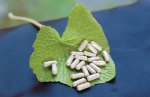 Sawa Wasabi Capsules on a Wasabi Leaf