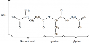 Reduced Glutathione Structure