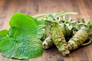 Sawa Wasabi rhizome with leaves and petiole in background