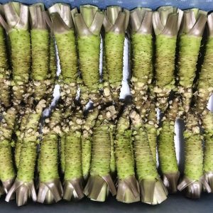 Are these fake Wasabi rhizomes?